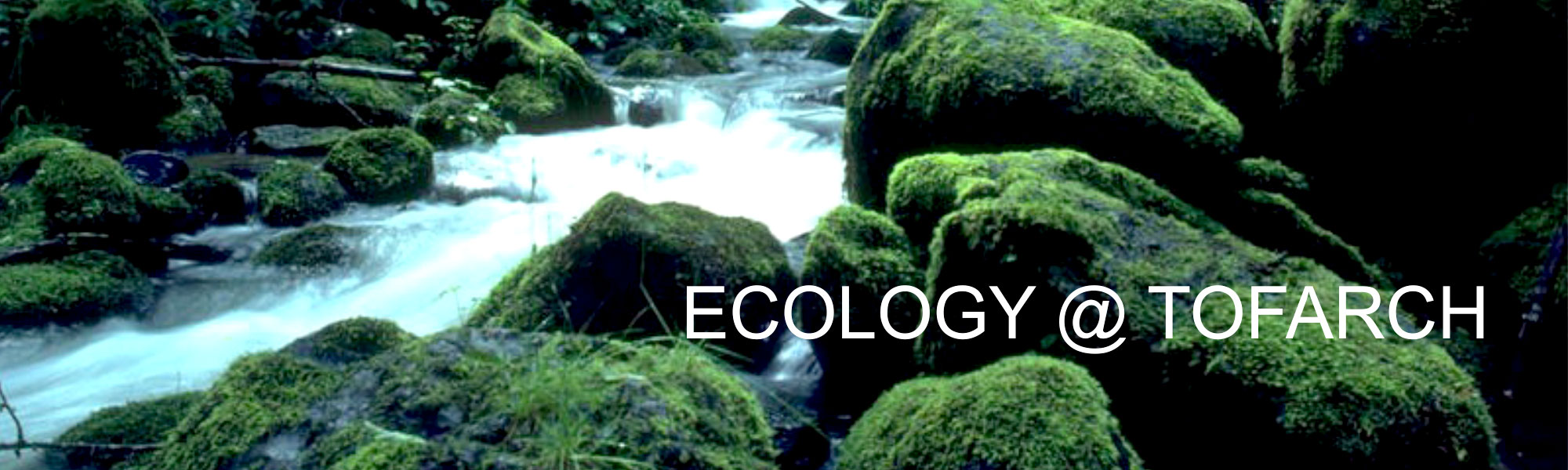 ecology image